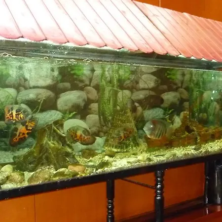 Szálloda Francisco Javier *