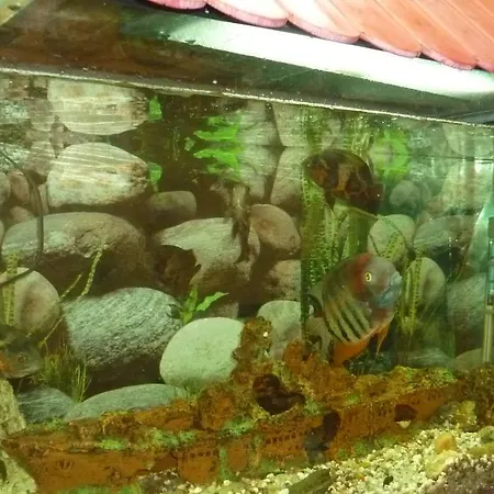 Hotel Francisco Javier A Coruña