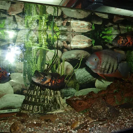 Hotel Francisco Javier A Coruña