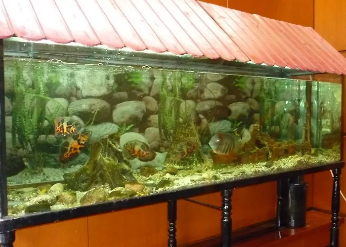 酒店 弗朗西斯科哈维尔酒店 *