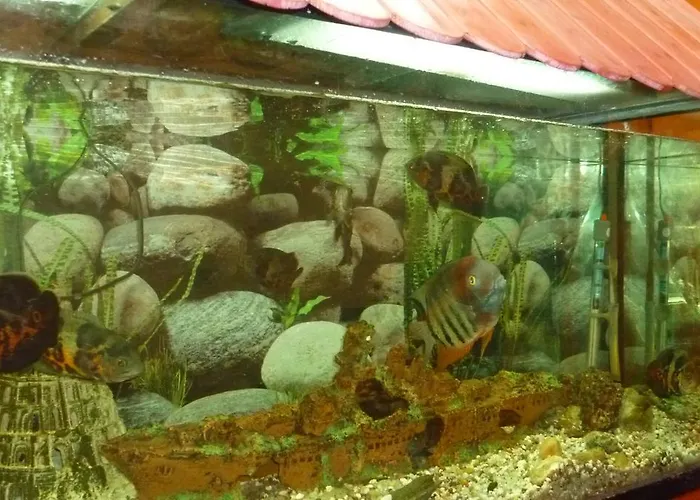 Hotel Francisco Javier A Coruna