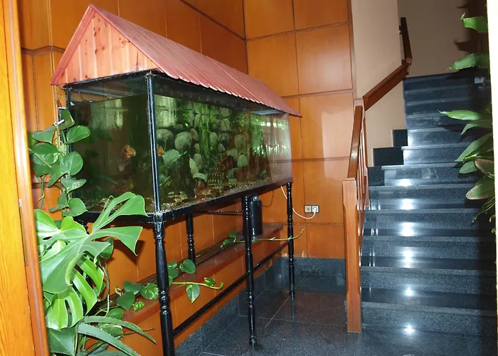 Hotel Francisco Javier