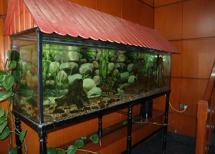 弗朗西斯科哈维尔酒店 *